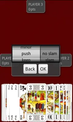 Andy Tarot Lite android App screenshot 17